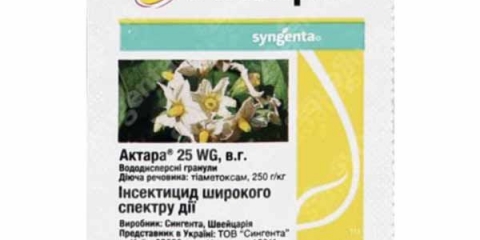 Aktara - upute za upotrebu za voćke i grmlje